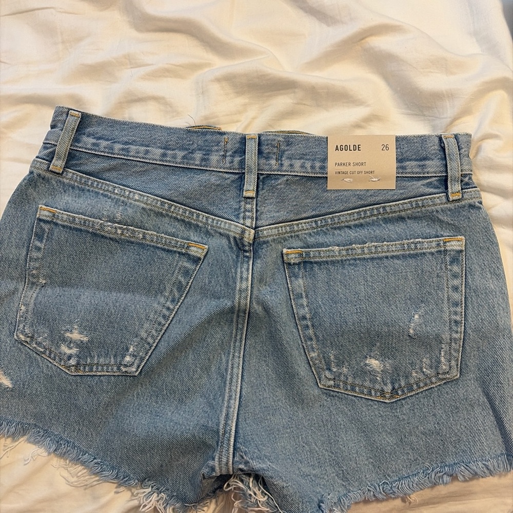 NEW W/ TAG Agolde Light Blue Jean Shorts